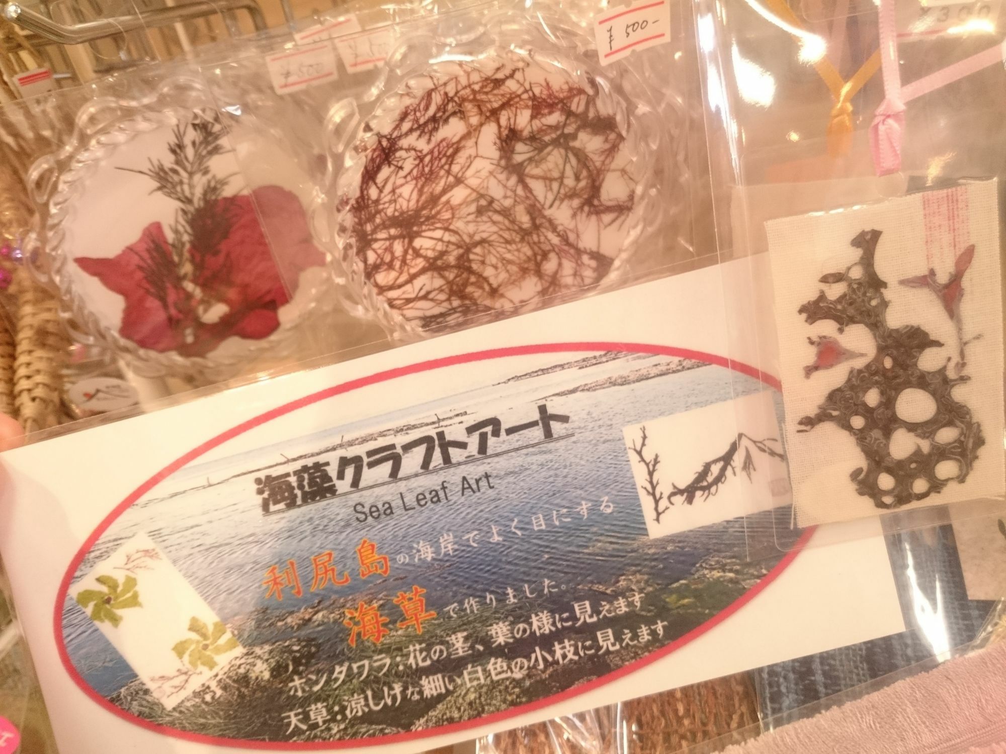 Rishiri Fuji Kanko Hotel Kültér fotó